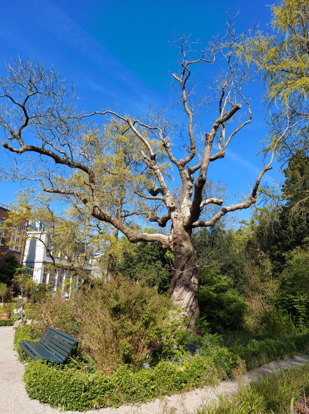 Lettre à l&rsquo;infirmier